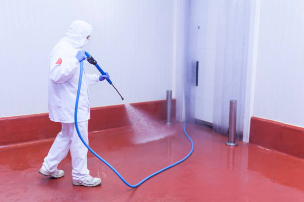 Best Warehouse Cleaning  in Kalkaska, MI